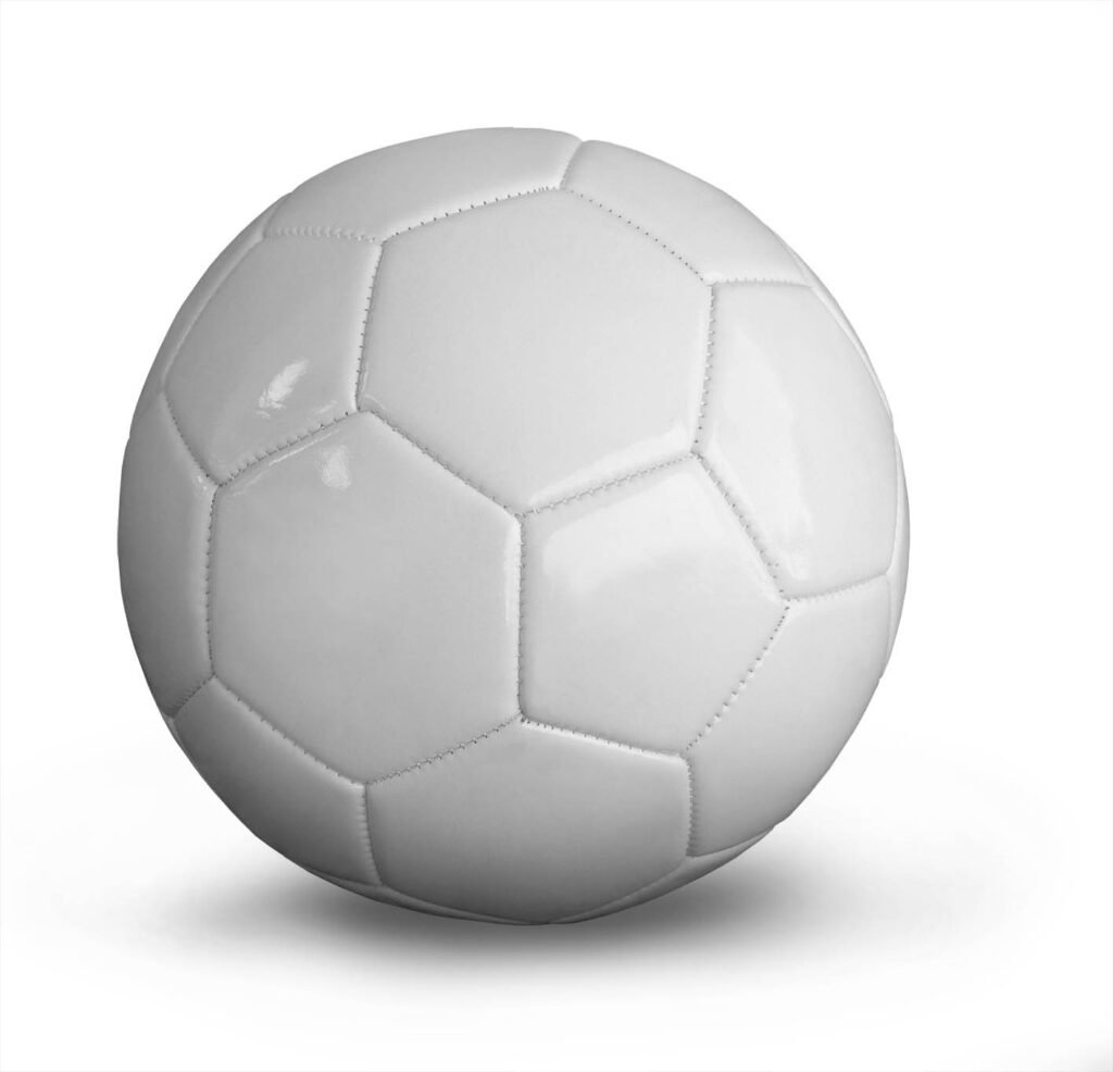 Hand-stitched professional soccer ball by Wilgre Industries, built for extreme weather conditions
