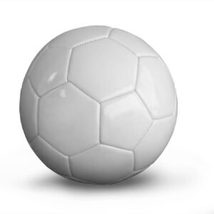 Hand-stitched professional soccer ball by Wilgre Industries, built for extreme weather conditions